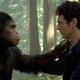 Image for article titled Monkeys Love Monkey Movies